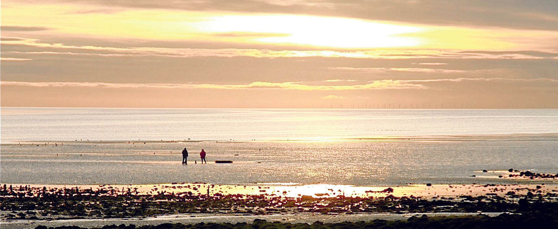 ‘Holistic’ approach on cards for Solway Coast
