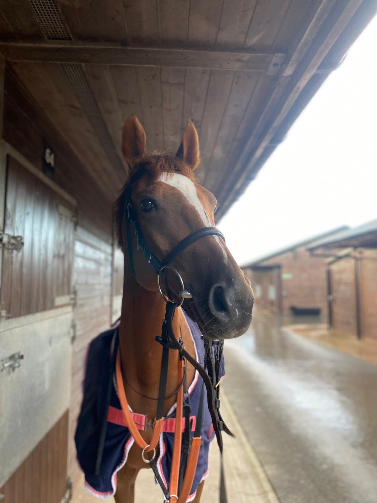 Back in the winners enclosure
