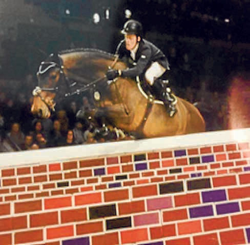 Showjumper suspended amid welfare concerns