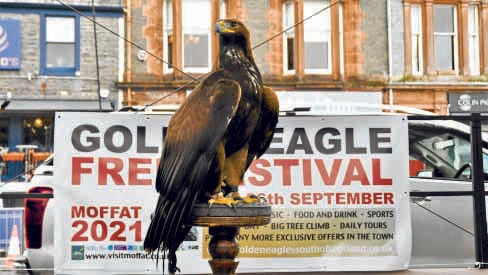 Vote plea from eagle project