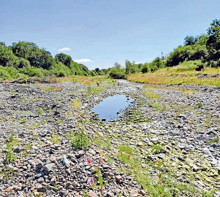 Rivers on ‘alert’ for dry conditions