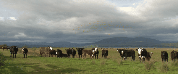 Region’s farmers feature in new documentary