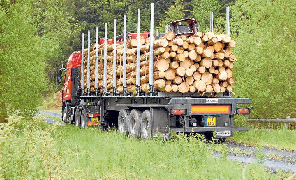 Timber fund to open for bids