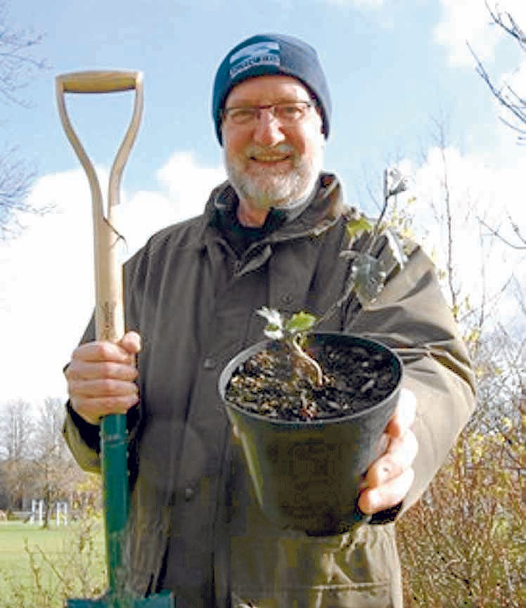 Tree grants available now