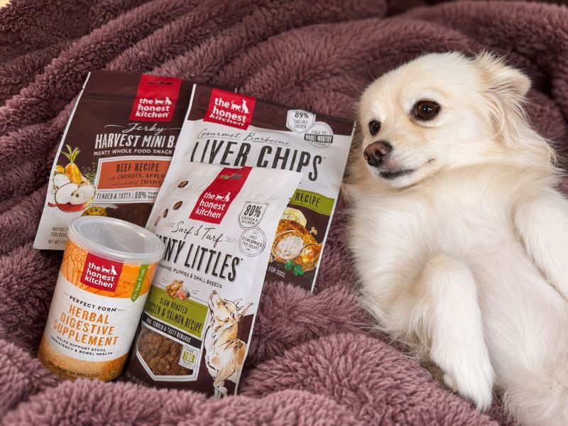 Pet or home product shared by Bree
