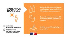 🌡️ Canicule : l’Ille-et-Vilaine placée en vigilance orange