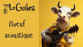 MUSIQUE • Boeuf acoustique