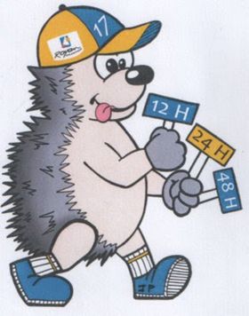 12 24 48 heures de Royan 2025