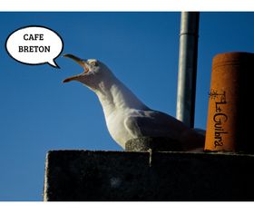 ÉCHANGE • Café Breton