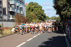 Les Boulevards de Colomiers par Rémy