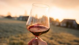 Déguster les vins du Médoc