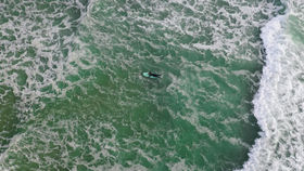 Le surf