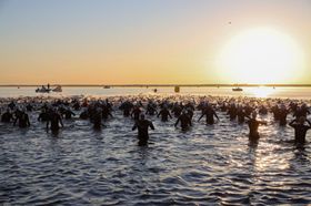 Natation