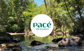Pacé