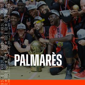 Palmarès
