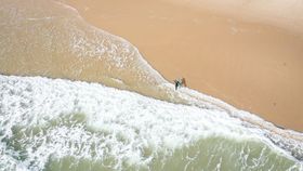 Surf