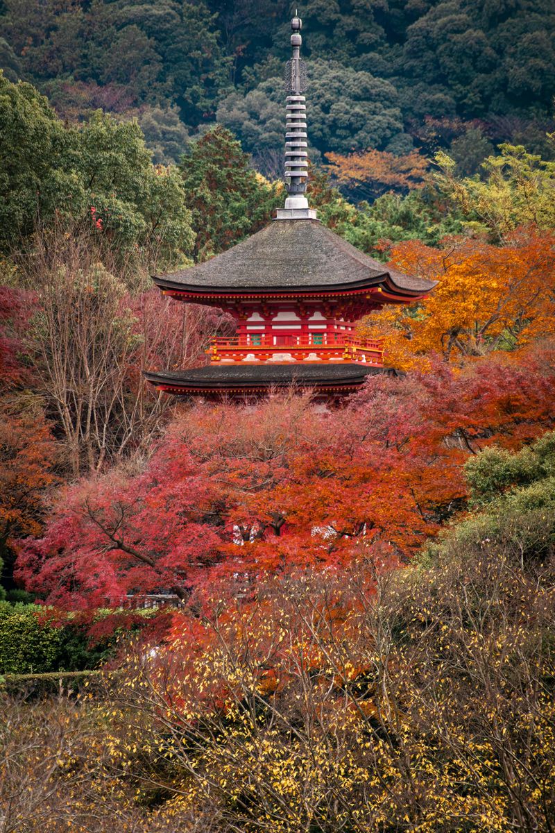 JAPAN - cvjetanje trešanja i Uskrs u Japanu - 7