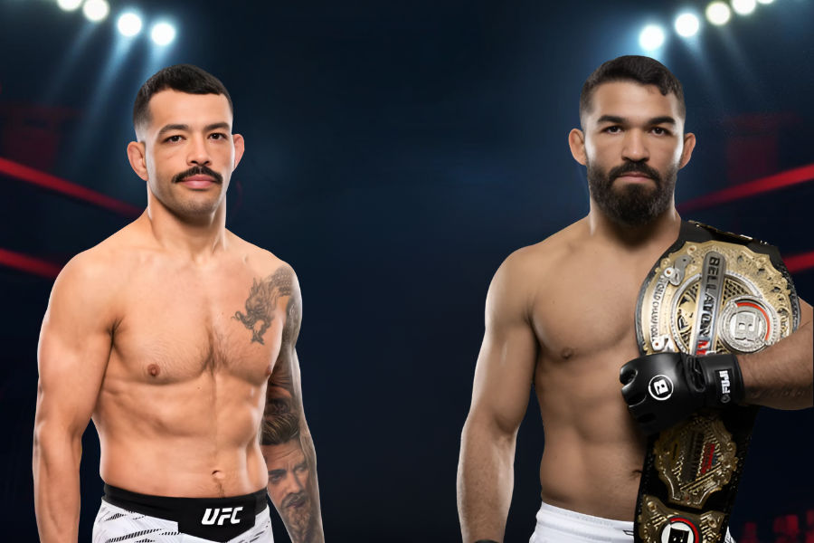 images of the dan ige and patricio pitbull