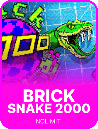 Brick Snake 2000 Cover