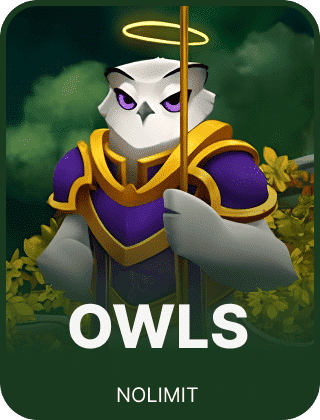 Owls Cover
