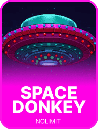 Space Donkey Cover