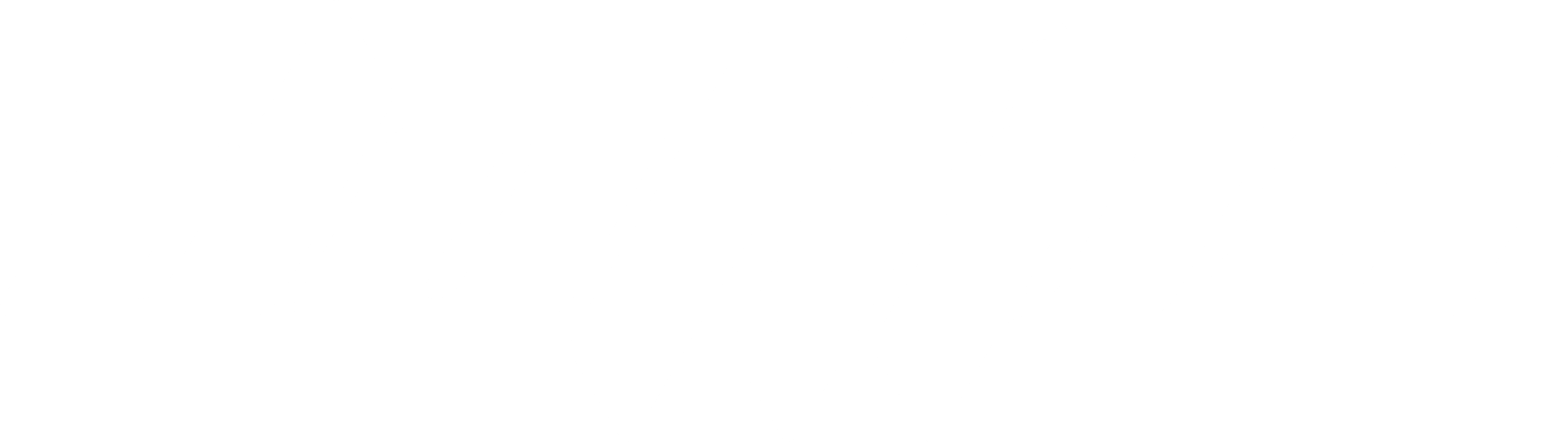 Brand logo image