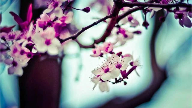 실업급여 활용법과 재취업 전략 이미지