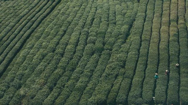 Q&A 실업급여 자주 묻는 질문과 답변 이미지