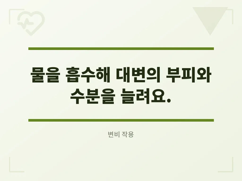 차전자피 먹는 방법 이미지