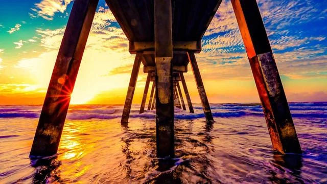 bnr17 유산균 복합 제품과 단일 균주 제품 차이 이미지