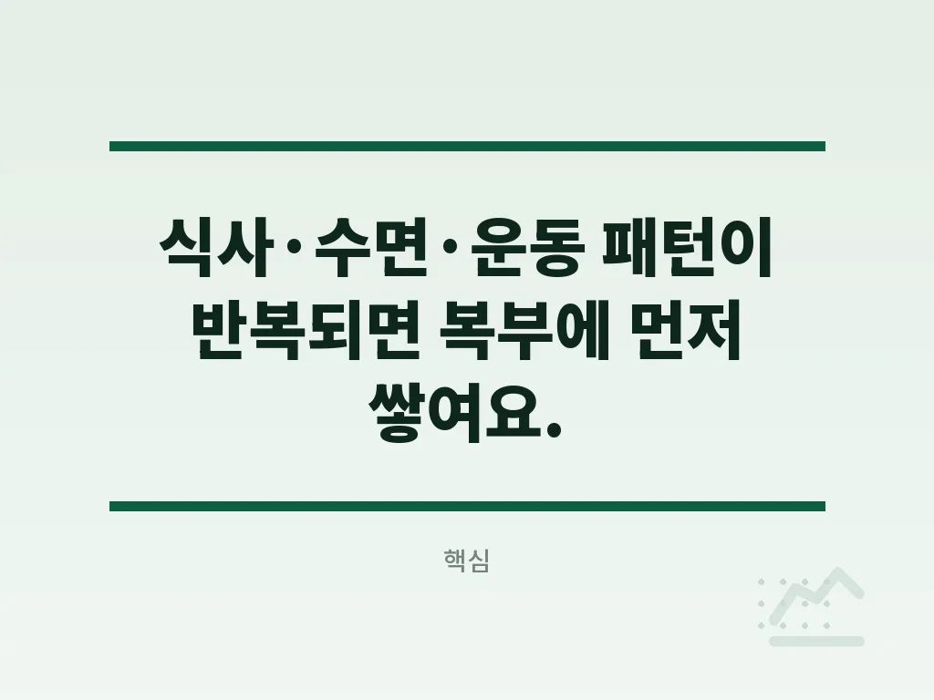 아랫뱃살 원인에 따른 해결 순서 이미지