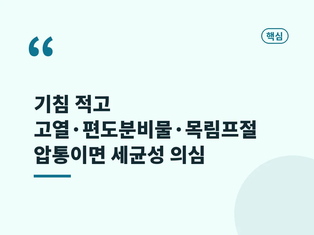 편도선염 증상 구별에 도움이 되는 신호들 이미지