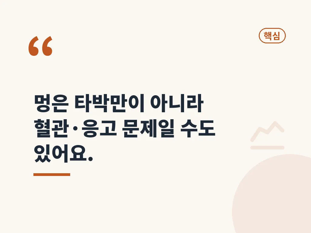 멍 울 관리의 기본 순서 이미지