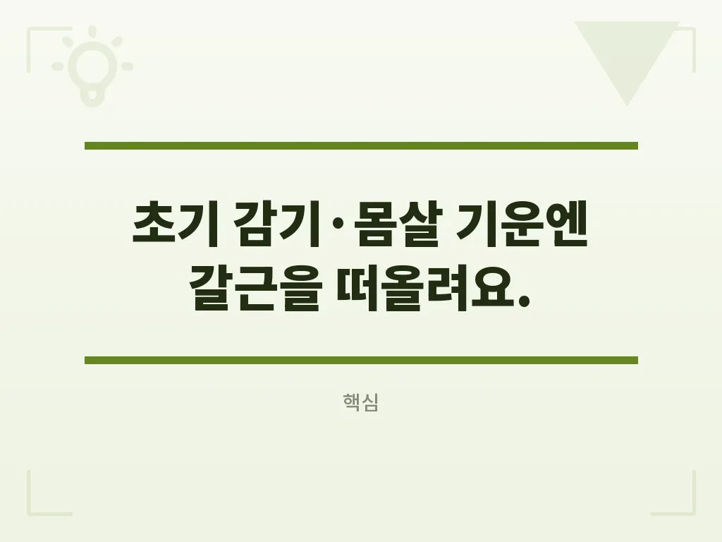 칡뿌리 섭취 시 주의해야 할 증상 이미지