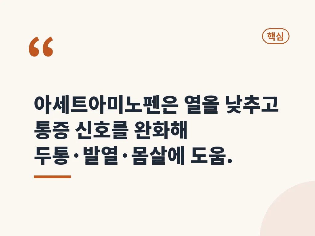 타이레놀 복용법 단계별 이해 이미지