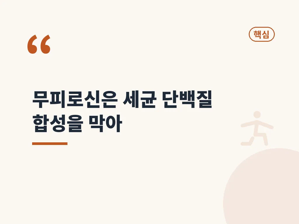 베아로반 연고 효능과 에스로반·박트로반 차이 이미지
