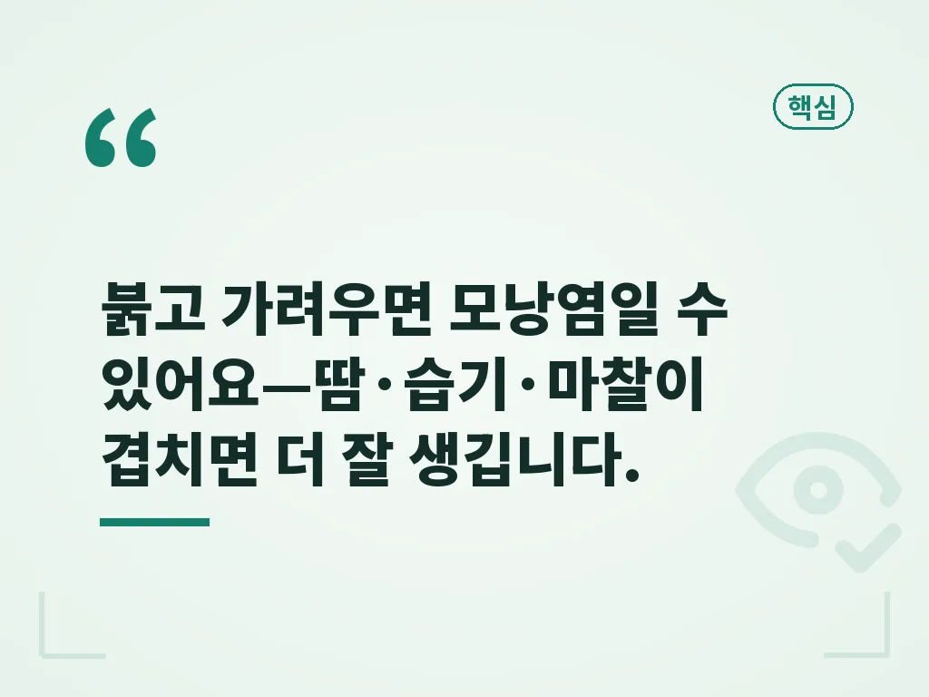 모낭염치료 접근 순서와 한계 이미지