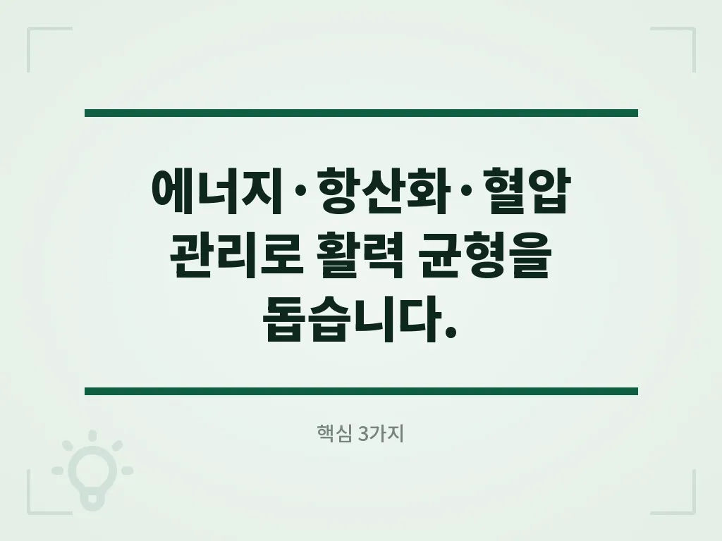 코큐텐추천 제품 고르는 기준 이미지