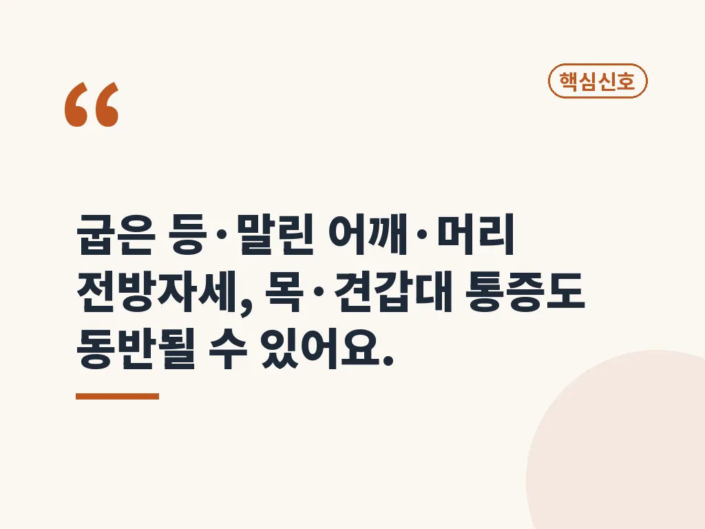 흉추후만 유형은 어떻게 나뉘나요 이미지