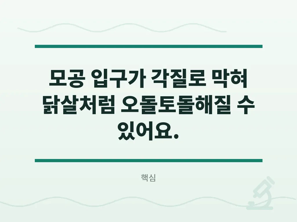 팔뚝 모공각화증 관리의 기본 원칙 이미지