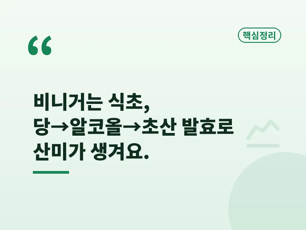 비니거 뜻과 발효 과정 이미지