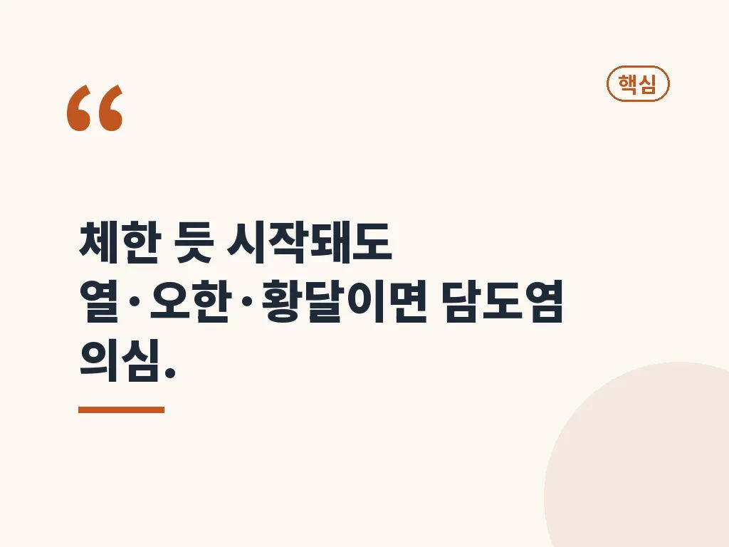 담도염 증상과 원인, 어떻게 연결되는지 이미지