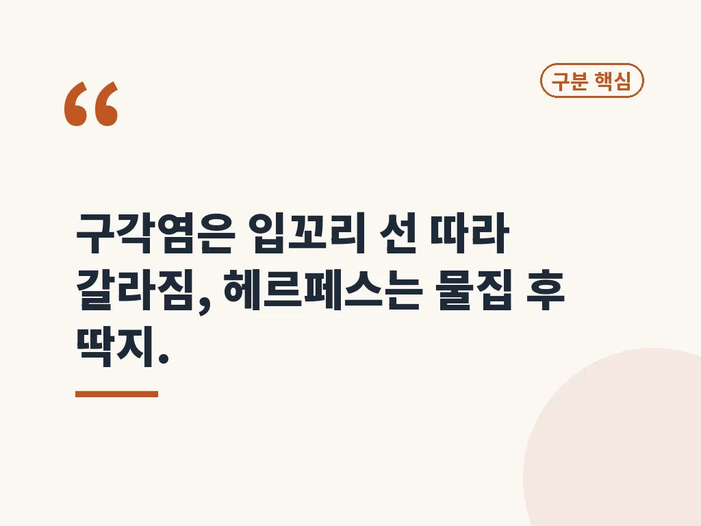 구각염 치료에 쓰는 연고와 선택 기준 이미지