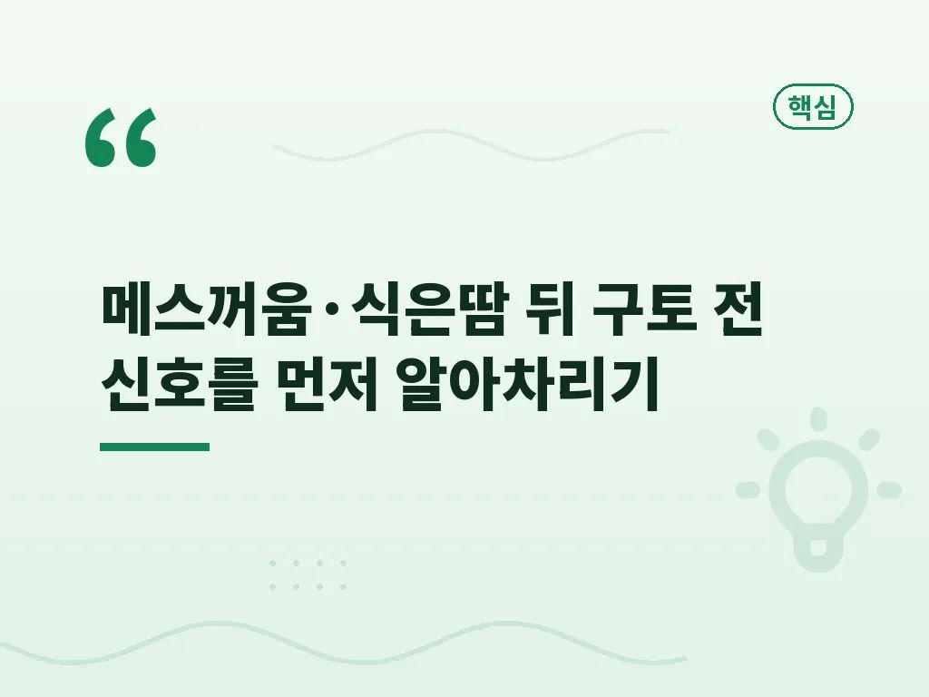 차멀미약 종류와 복용 시기 이미지