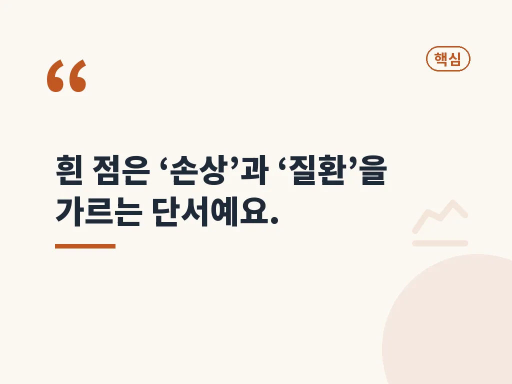 손톱 흰반점과 영양 이야기 이미지