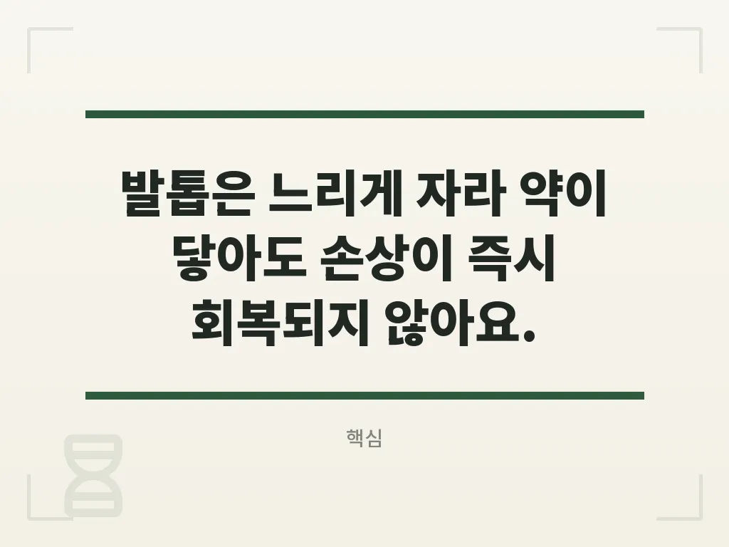 바르는 발톱무좀약과 먹는 약 비교 이미지