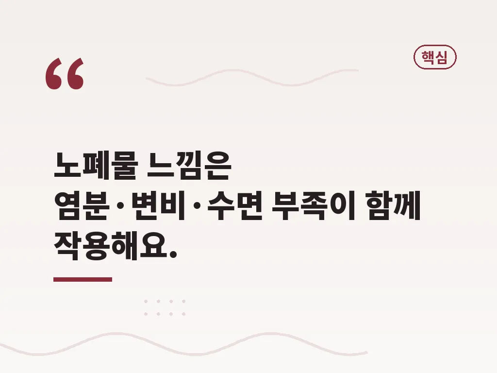 몸속노폐물 관리 식품 비교 이미지