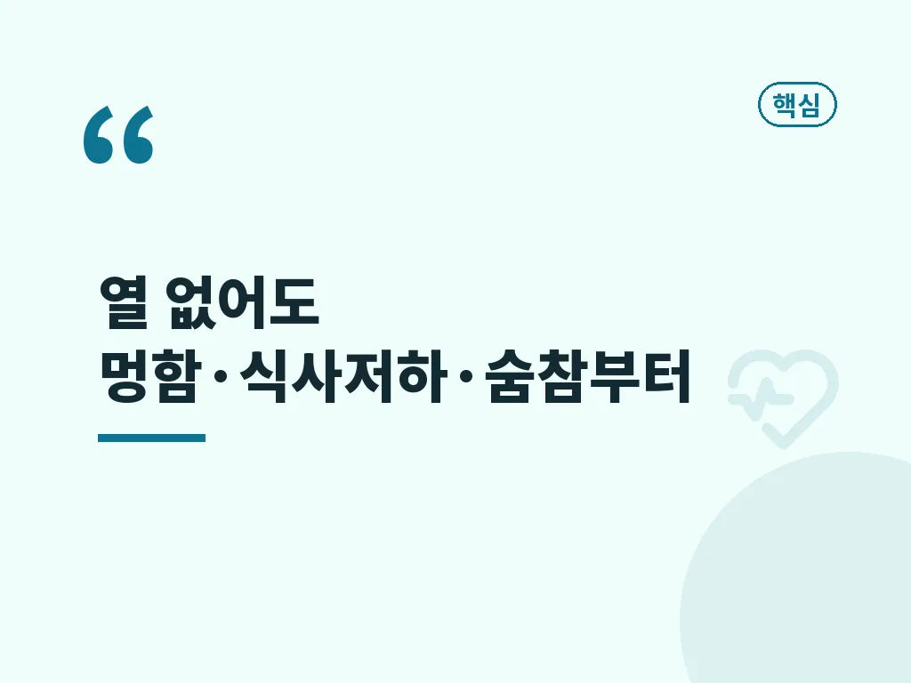 증상 비교로 보는 위험 신호 이미지