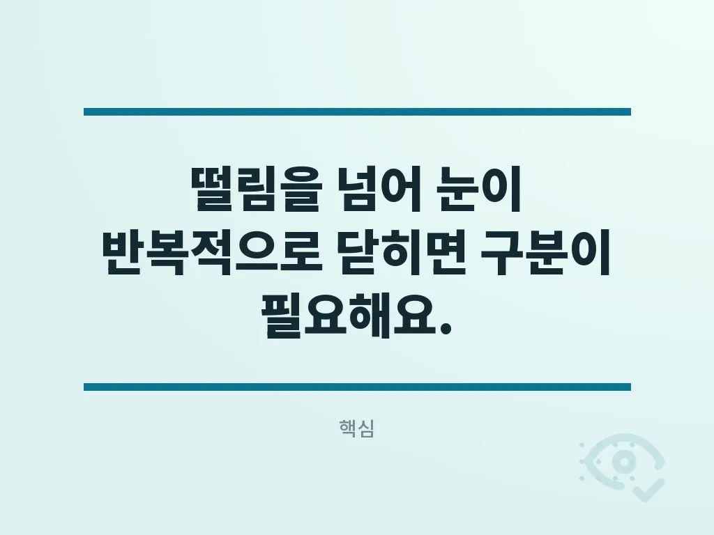 안검연축에서 자주 헷갈리는 유형 이미지