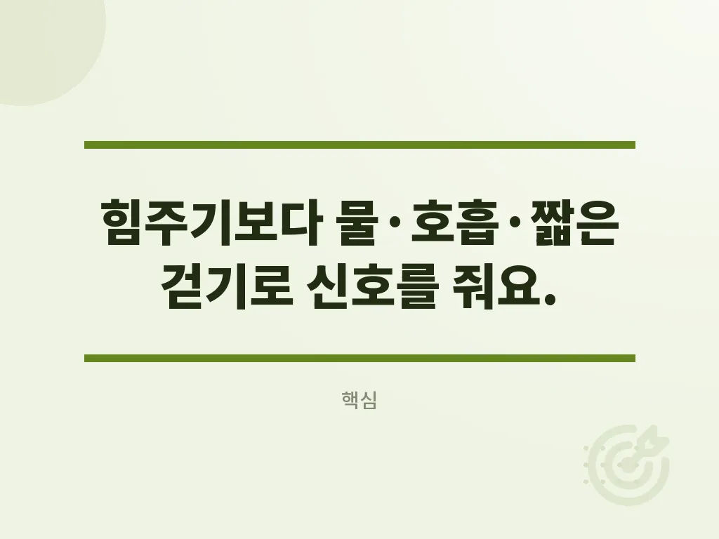 변비약추천 전에 알아둘 점 이미지